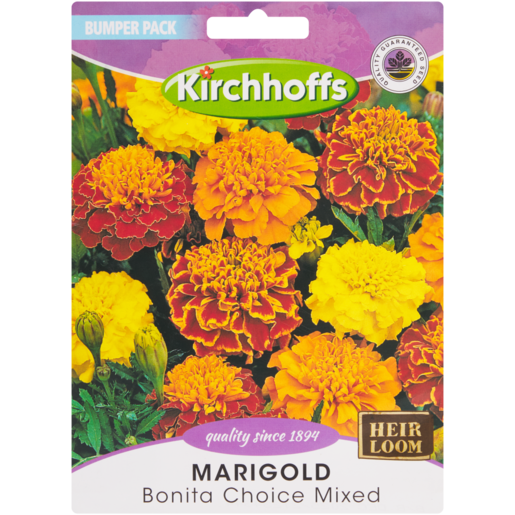 Kirchhoffs Bonita Choice Marigold Seeds