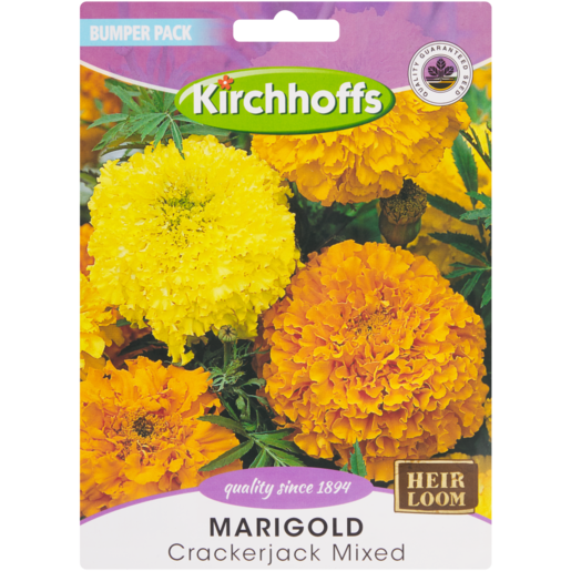 Kirchhoffs Crackerjack Mixed Marigold Seeds