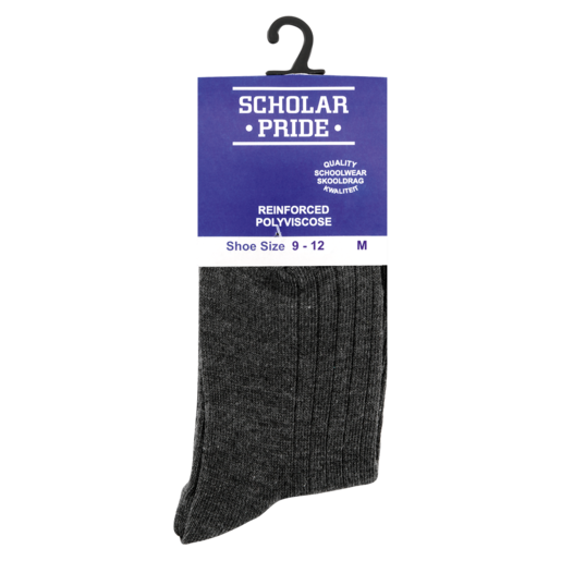 Scholar Pride Boys Grey Polyviscose Socks Medium
