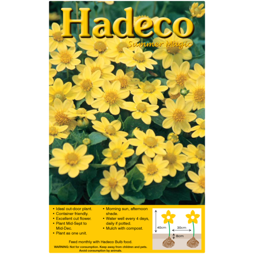 Hadeco Yellow Topmix Dahlia Bulb