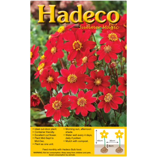 Hadeco Red Top Mix Dahlia Bulb