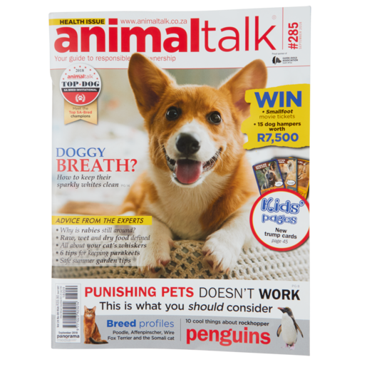 Animal Talk Magazine