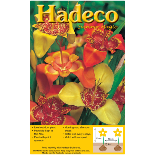 Hadeco Tigridia Pavonia Bulbs 15 Pack