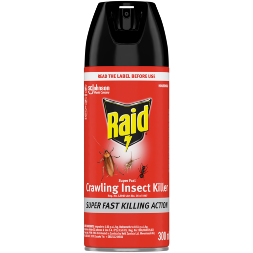 Raid Crawling Insect Killer 300ml