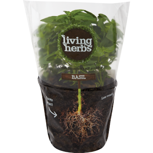 Living Herbs Fresh Basil