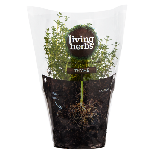 Living Herbs Thyme