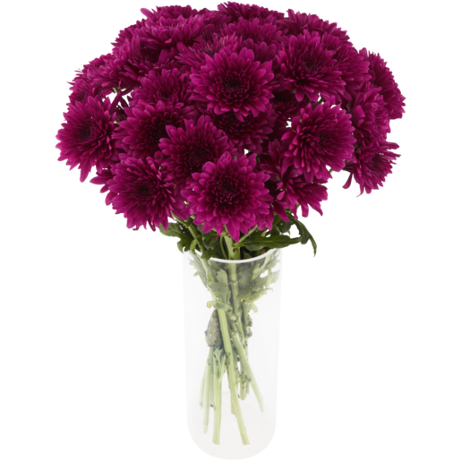 Chrysanthemum Flowers Bouquet (Vase Not Included) (Colour May Vary)