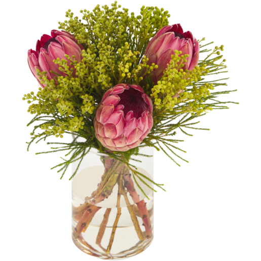 Protea Flower Single (Vase Not Included)