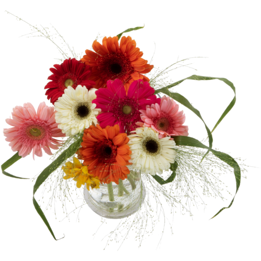 Gerbera Flowers Bouquet (Vase Not Included)