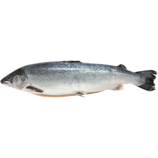 Whole Frozen Norwegian Salmon Per kg