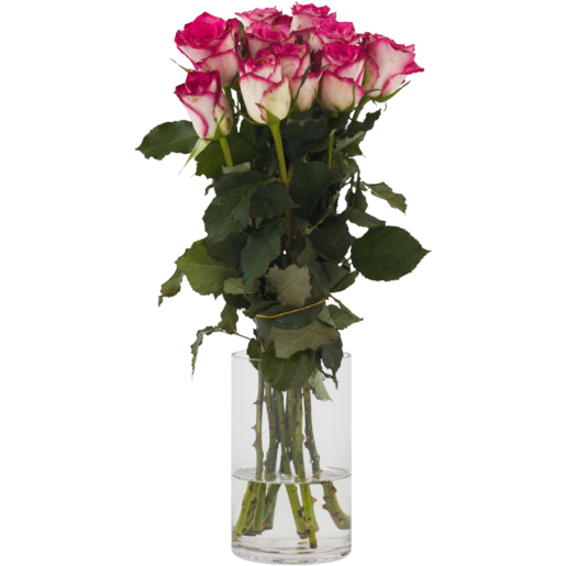 Two-Tone Pastel Rose Bouquet (Vase Not Included) (Colour May Vary)