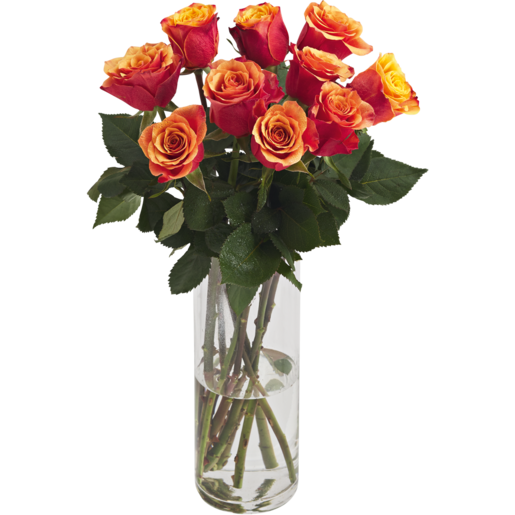 Two-Tone Flame Rose Bouquet (Vase Not Included)