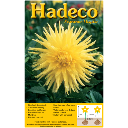 Hadeco Yellow Dahlia Cactus Bulb