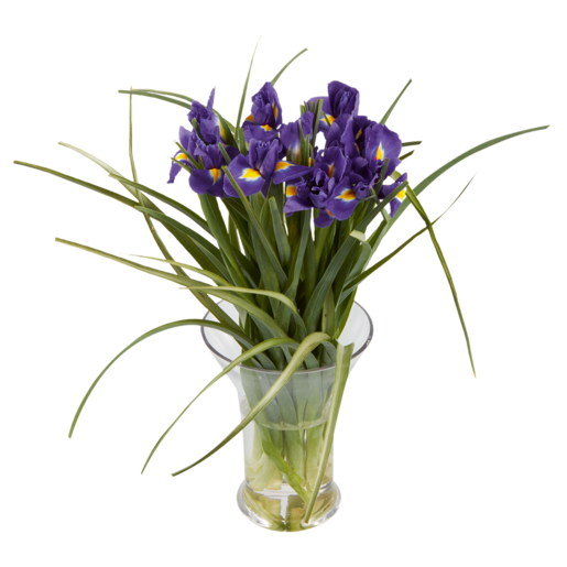 Iris Flower Bouquet Bunch