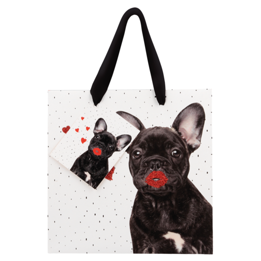 Dog or Cat Medium Gift Bag (Design May Vary)