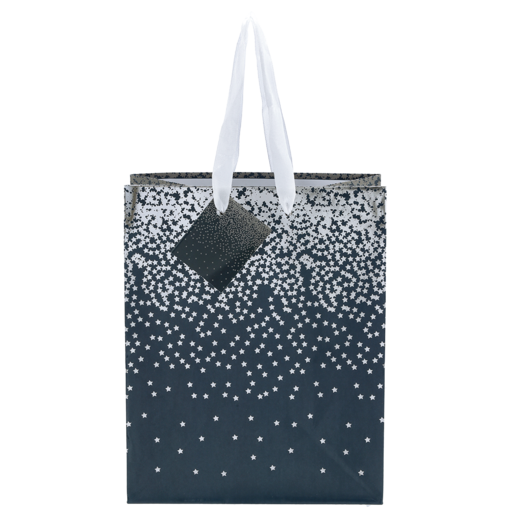 Printed Medium Gift Bag with Silver Stars