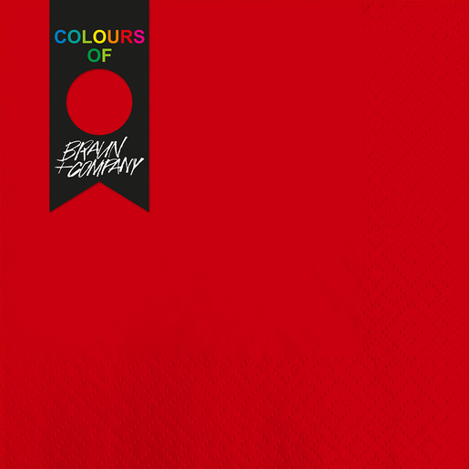 Colours of Braun + Company Red Napkins 20 Pack