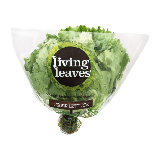 Living Leaves Crisp Lettuce