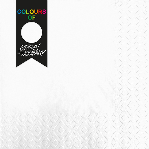Colours Of Braun + Company White Napkins 20 Pack