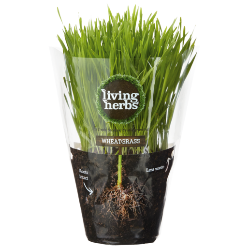 Living Herbs Wheatgrass