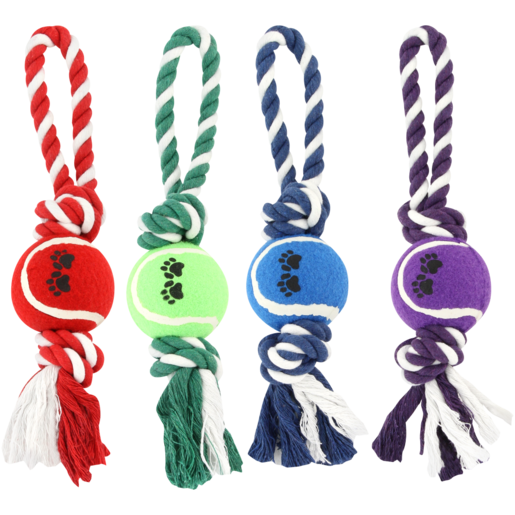 Petshop Tennis Ball On Rope Dog Toy (Colour May Vary)