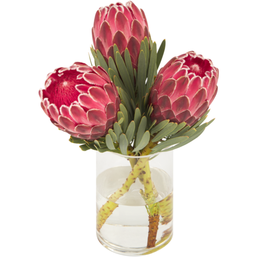 Venus Protea Flower Bouquet (Vase Not Included)