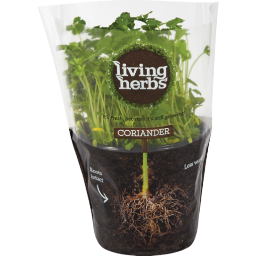 Living Herbs Fresh Coriander
