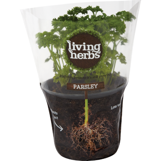 Living Herbs Fresh Parsley