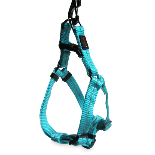 Dog's Life Turquoise Supersoft Reflective Webbing Step In Harness (Small)