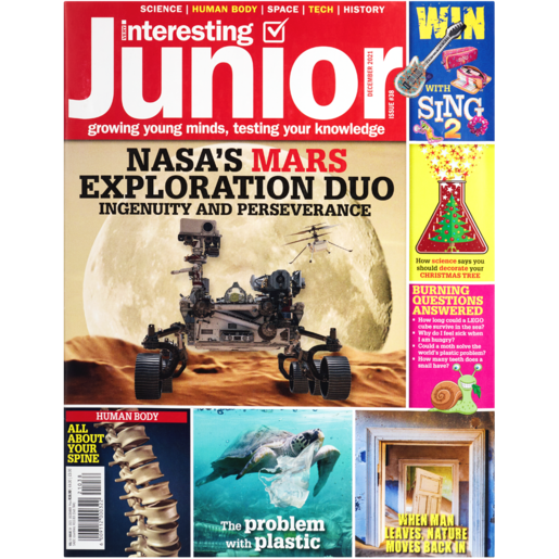 Very Interesting Junior Magazine