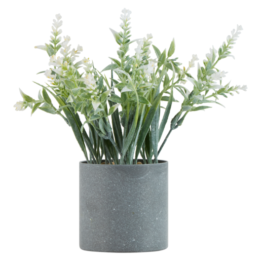 White Flowers In Silver Pot