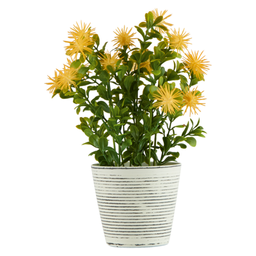 Yellow Flower In White Pot