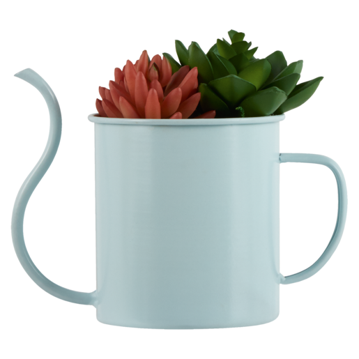 Cactus In Grey Teapot