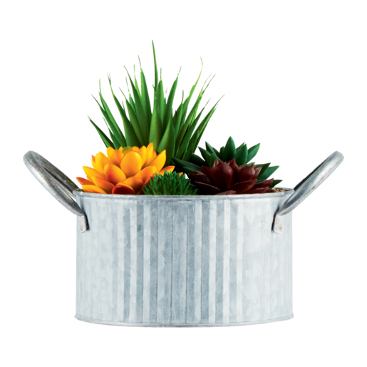Plant In Metal Pot (Assorted Item - Supplied At Random)