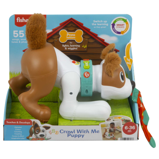 Fisher-Price 123 Crawl With Me Puppy Infant Learning Toy