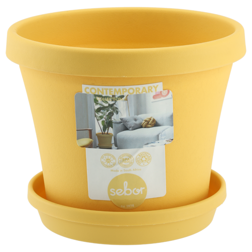 Sebor Yellow Contemporary Pot Plant 15cm