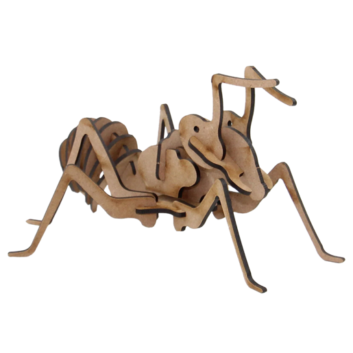 3D Buildable Wooden Model Insects Ant