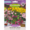 Kirchhoffs Summer Flower Seeds Scatter Pack (Type May Vary)