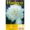 Hadeco Decorative White Dahlia Bulb