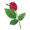 Valentine's Rose 50cm