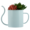 Cactus In Grey Teapot