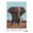 Photographers Elephant Puzzle 1000 Piece